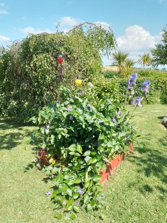 Jardín al aire libre en Robins Rest