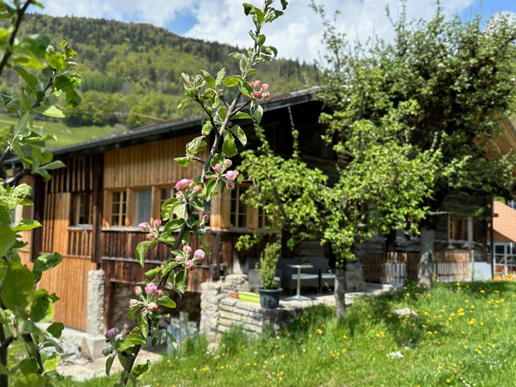 Nespecifikovaný výhled na hory nebo výhled na hory při pohledu z apartmánu