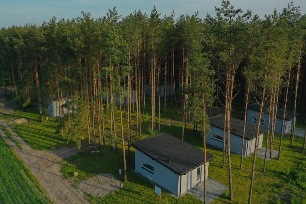 widok na dwa domy w lesie w obiekcie 4REST w mieście Żytno