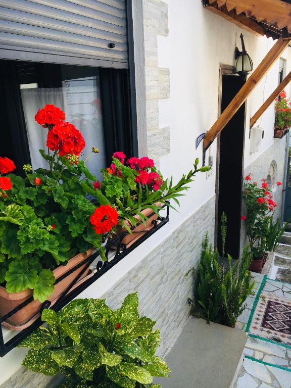 Zahrada ubytování Kore Guest House