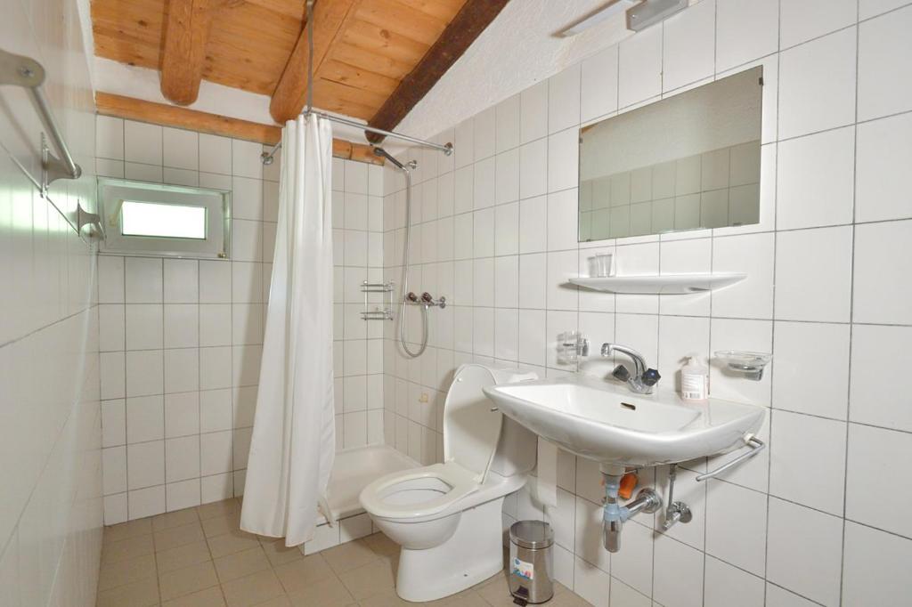 Koupelna v ubytování Alphütte mit Halbpension