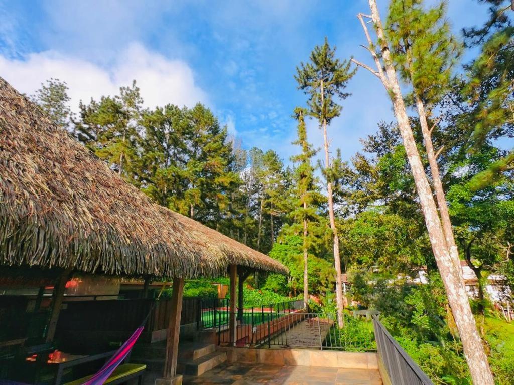 un complejo con techo de paja y pasarela en La Semilla Ecolodge, en Cerro Azul