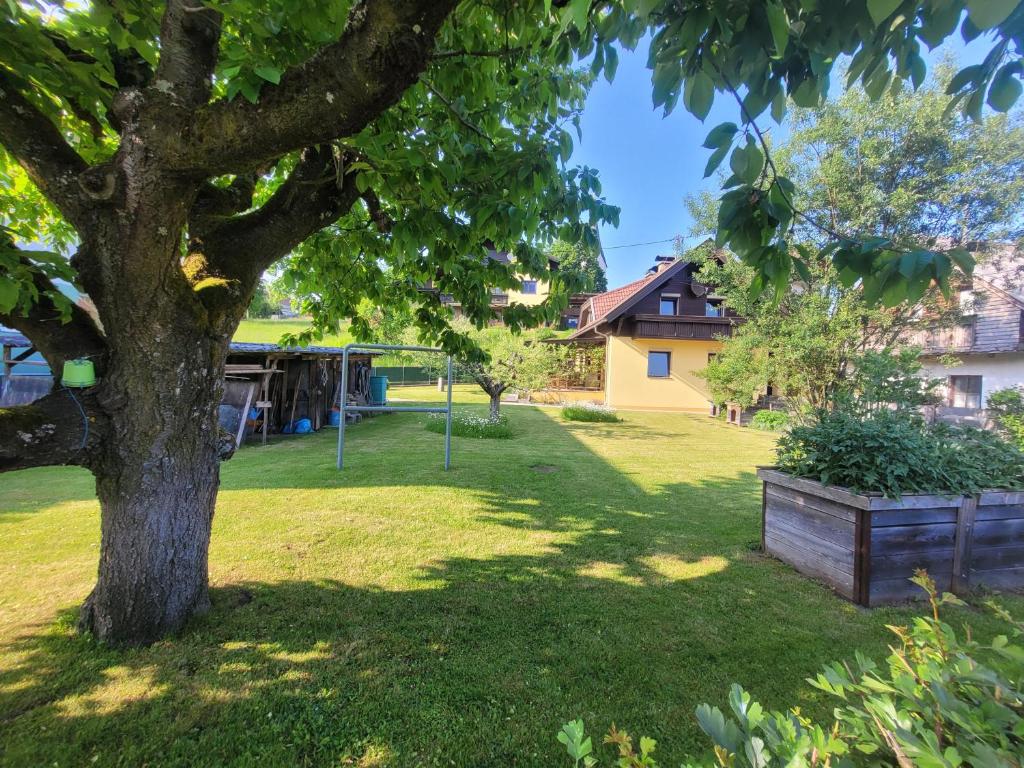 Zahrada ubytování Haus Seebrise
