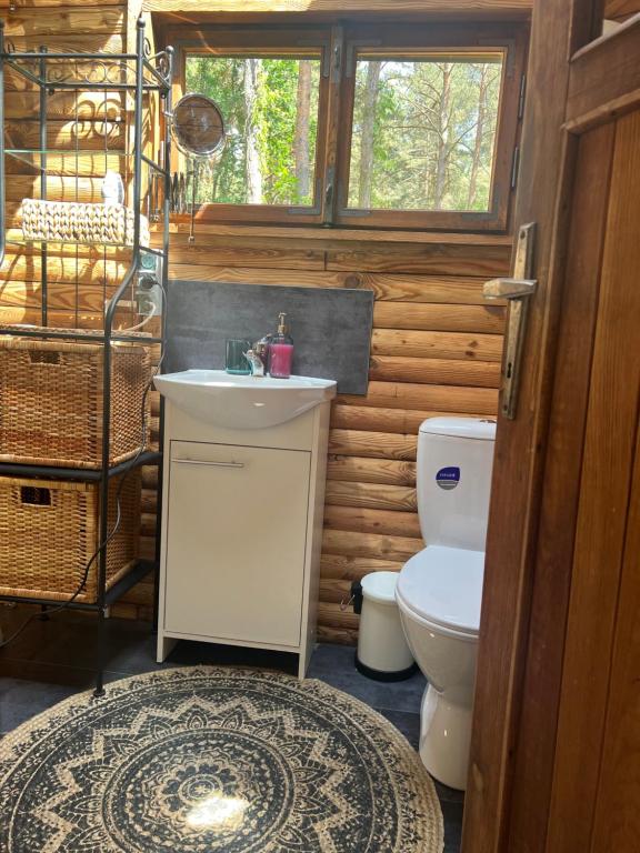 łazienka z toaletą i umywalką w obiekcie Urocza chatka w lesie nad wodą w mieście Skubianka