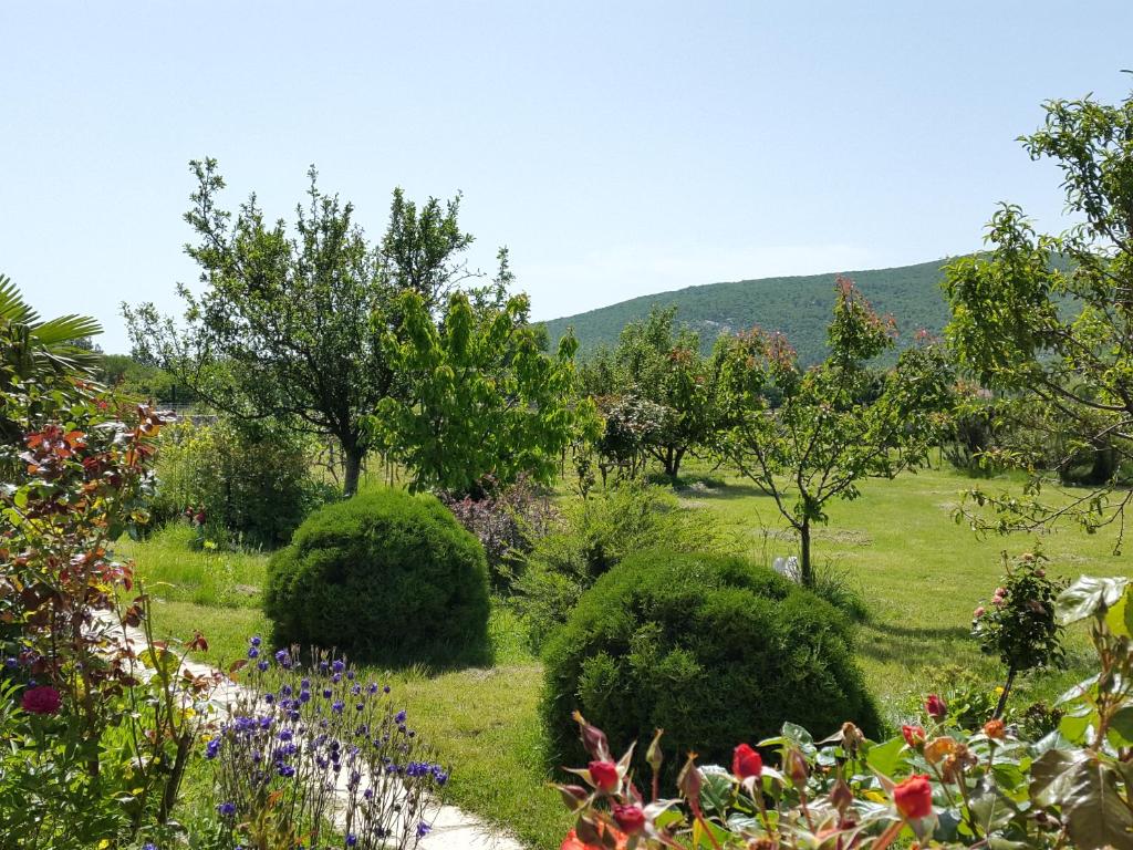 a garden with bushes and trees and mountains in the background at Almas in Neorić