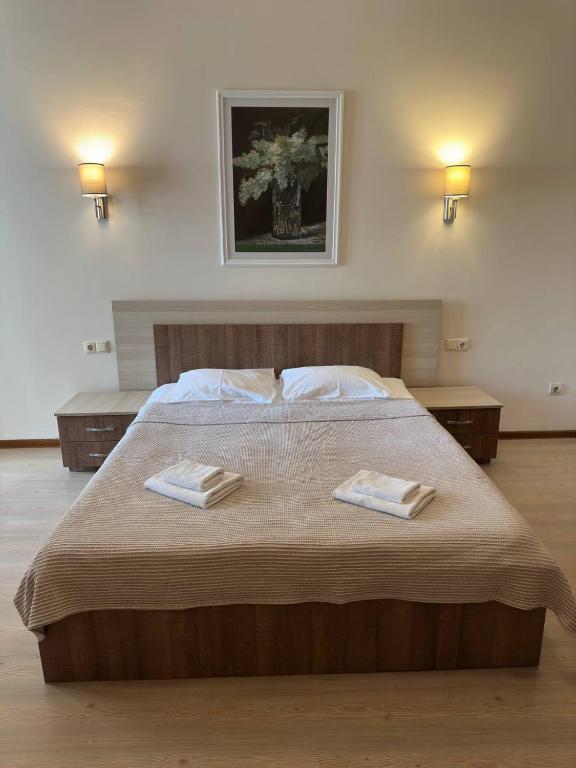 Postel nebo postele na pokoji v ubytování Hotel Mireosi