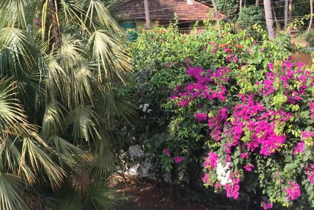 un jardín con flores rosas y palmeras en 1BHK Luxury Homestay In Betalbatim, South Goa en Marmagao