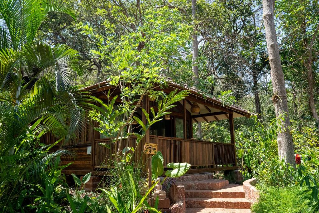 Vrt pred nastanitvijo Mojigao - Eco Resort