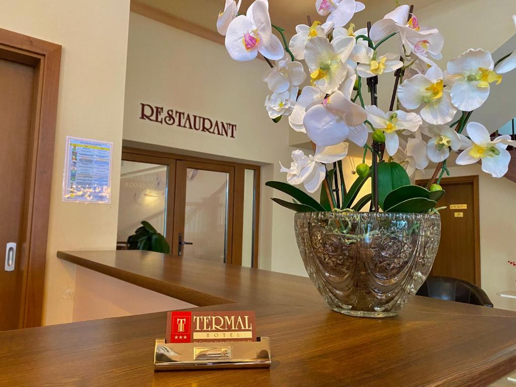 Vstupní hala nebo recepce v ubytování Hotel Termal