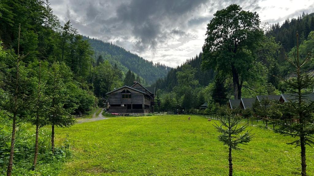 Příroda nedaleko apartmánu