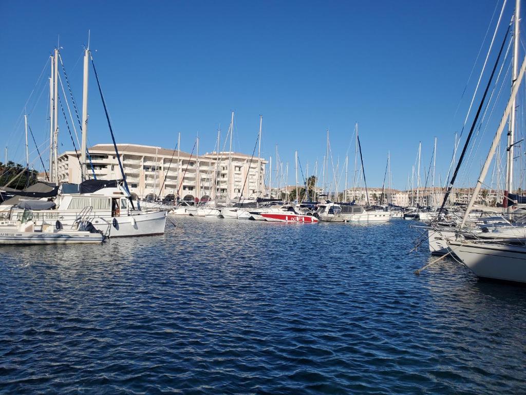 un groupe de bateaux est amarré dans un port de plaisance dans l'établissement OPEN, Grand T2, 47m2, 6 couchages, 2 salles de bai, à Fréjus