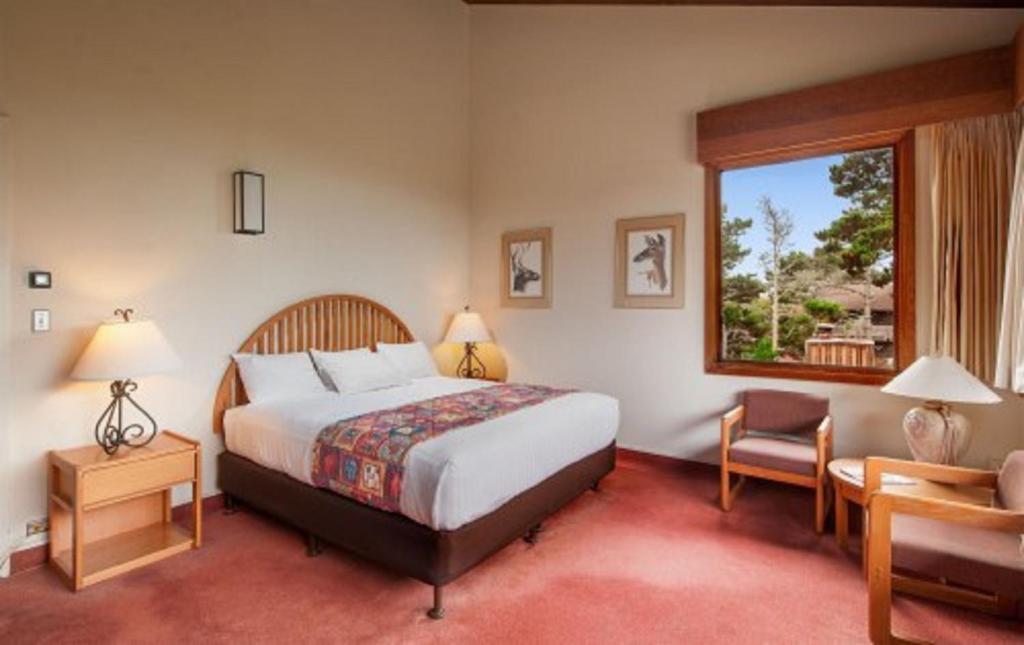 Asilomar Conference Grounds - King Room With Ocean View