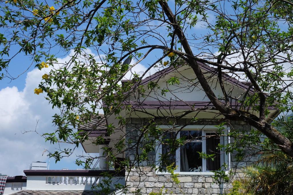 加德滿都的住宿－Sambodhi Yoga Home，前面有一棵树的白色房子