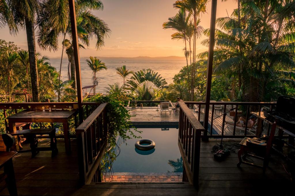 een zwembad met palmbomen en uitzicht op de oceaan bij Bambuda Lodge in Bocas del Toro