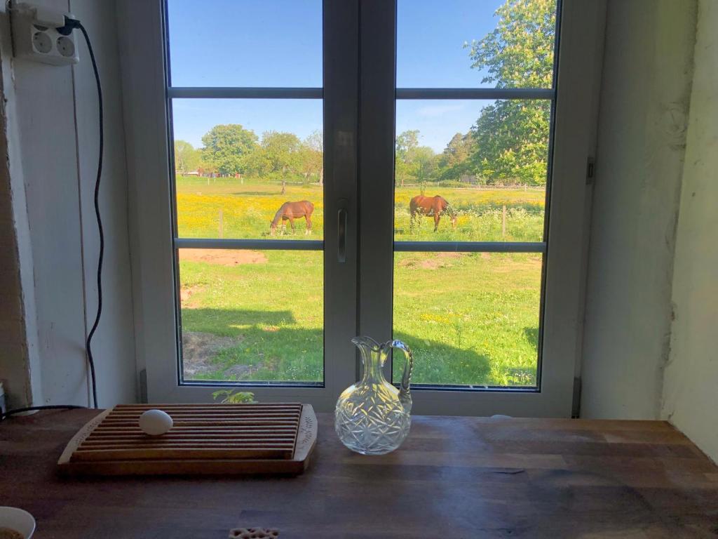 Zahrada ubytování Isomegård Väte Gotland