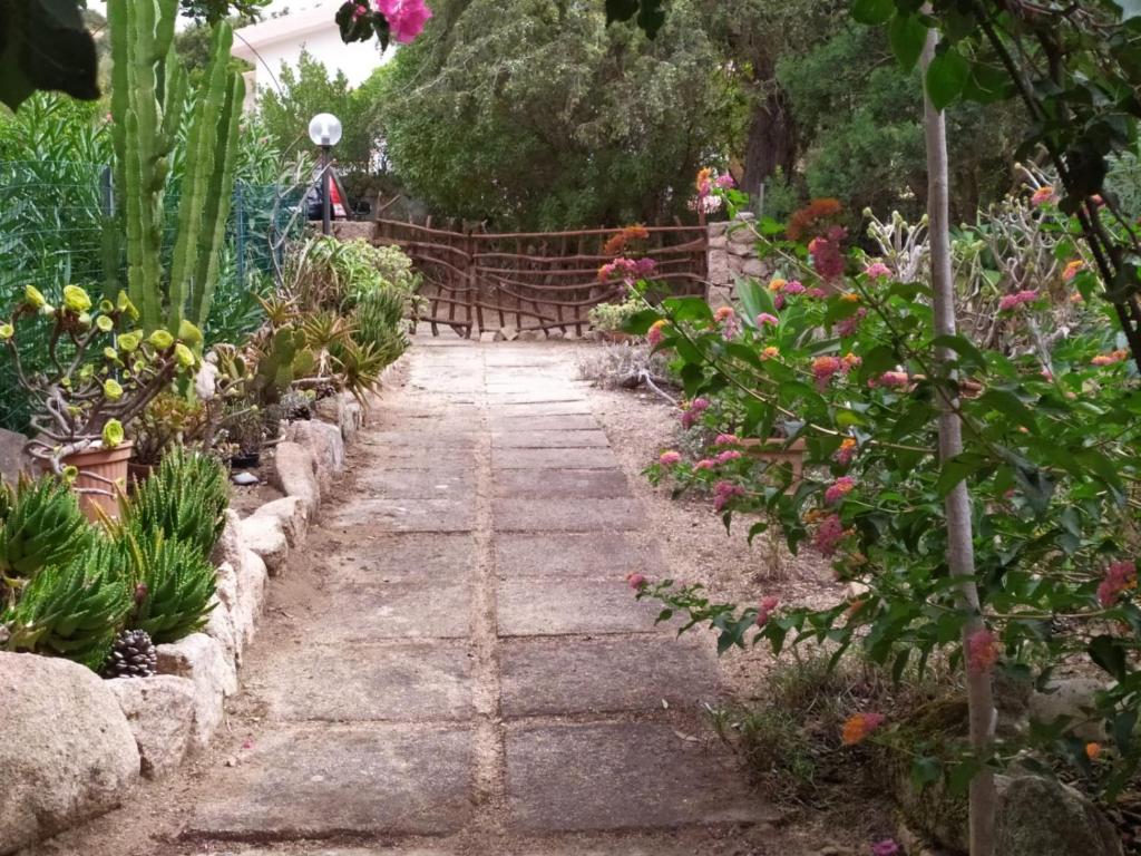 un camino de jardín en medio de un jardín en Casa Maria, en Rena Majore
