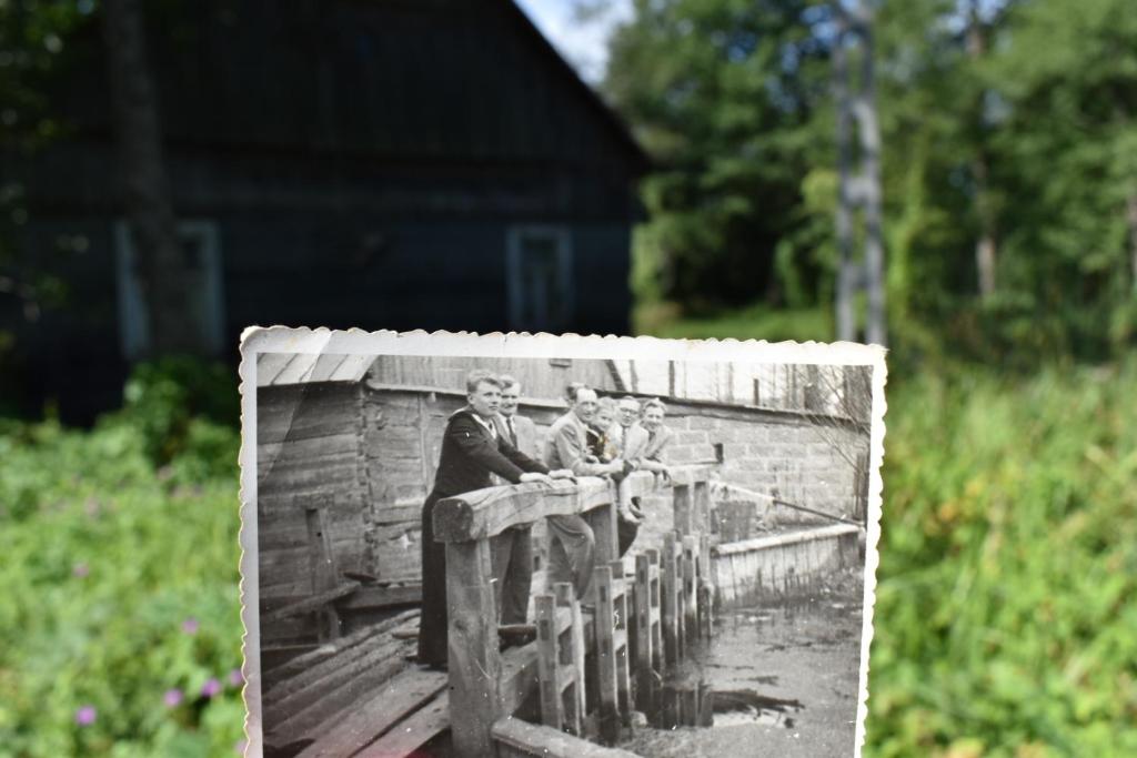 Fotografia z galérie ubytovania Willa Bobrowa Dolina v destinácii Wójtostwo