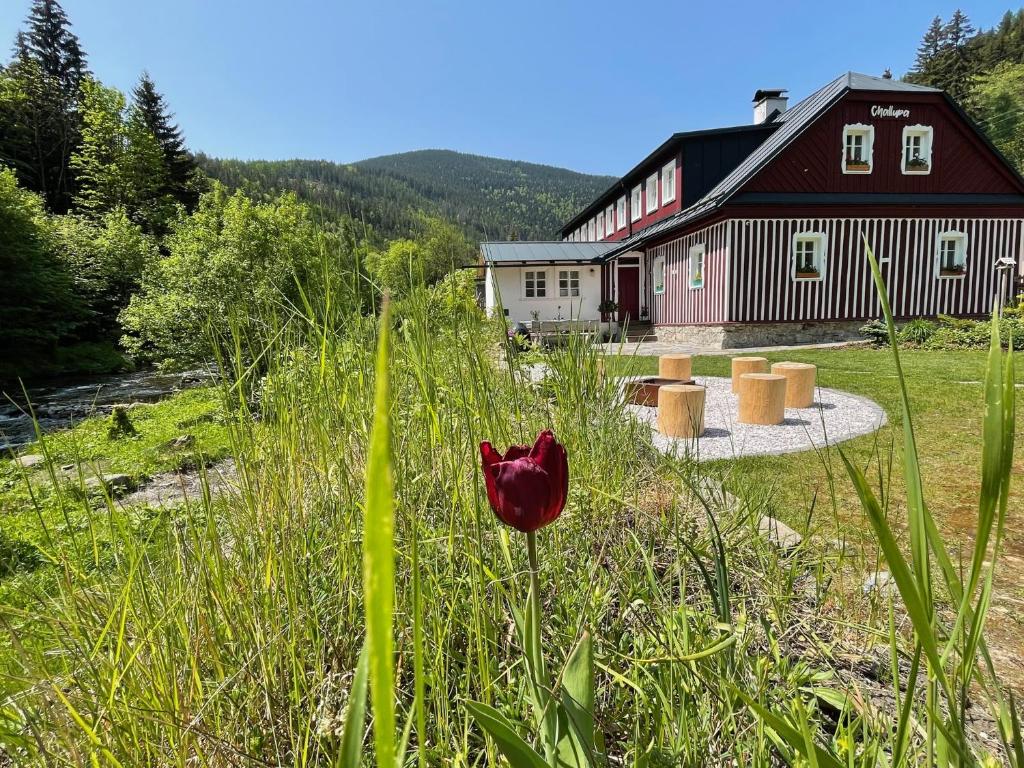 Příroda nedaleko apartmánu