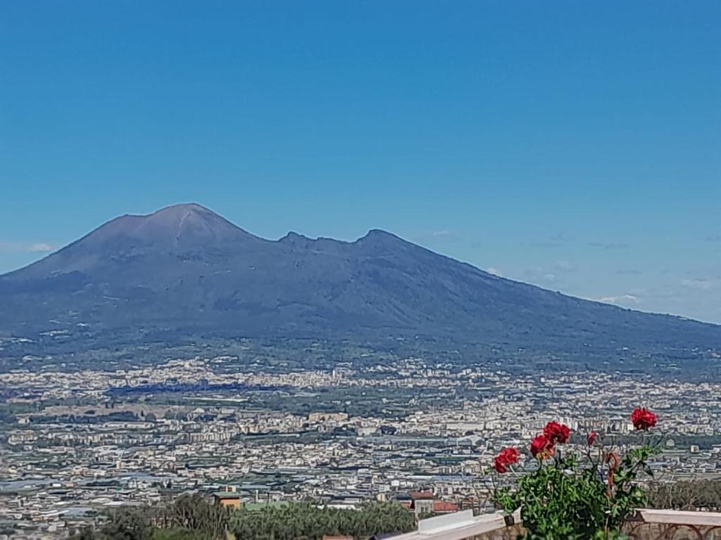 vistas a una montaña con flores rojas en el primer plano en La Vigna del Vento en Casola di Napoli