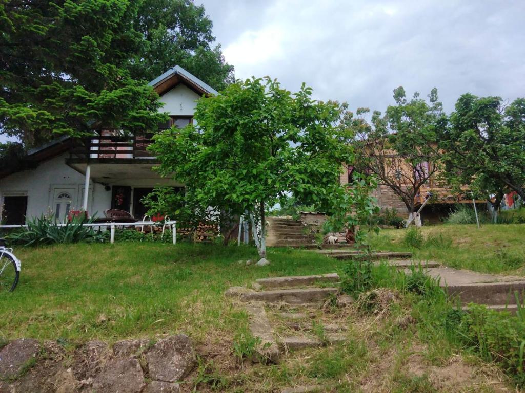 Zahrada ubytování MAJ1