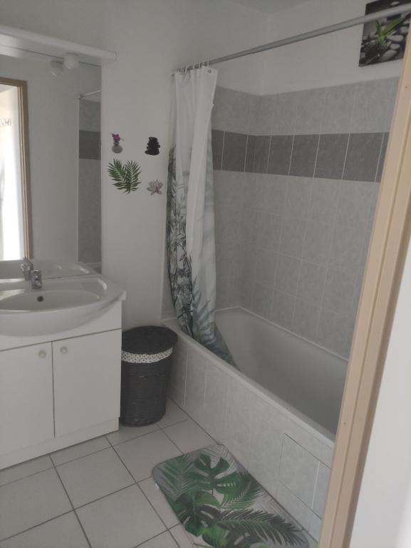 ein Badezimmer mit einer Badewanne, einem Waschbecken und einer Badewanne in der Unterkunft Appartement T2 in Limoges