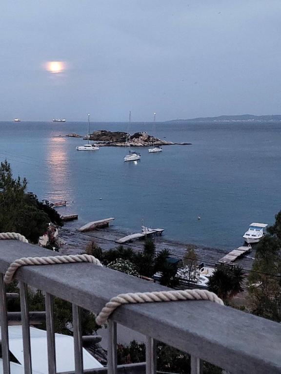 a view of a harbor with boats in the water at ΘΕΑΛΟΣ ΒΡΑΧΟΣ in Saterlí