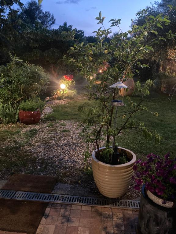 Vonkajšia záhrada v ubytovaní Le Mas du Sud