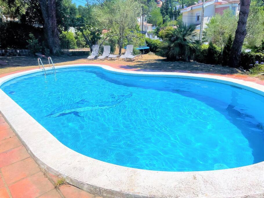 a swimming pool with a shark in the water at V&VLLORET-VILLA CAMELIA gran villa para 12PAX, con aire acondicionado, piscina,casa árbol niños y ping-pong in Vidreres