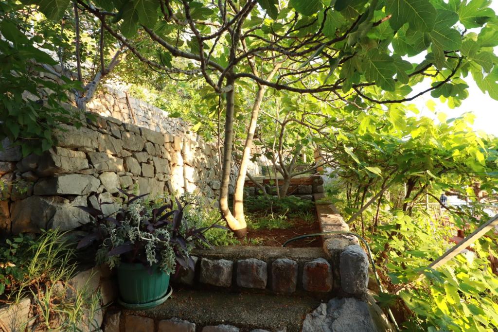Zahrada ubytování Accommodation Salvia