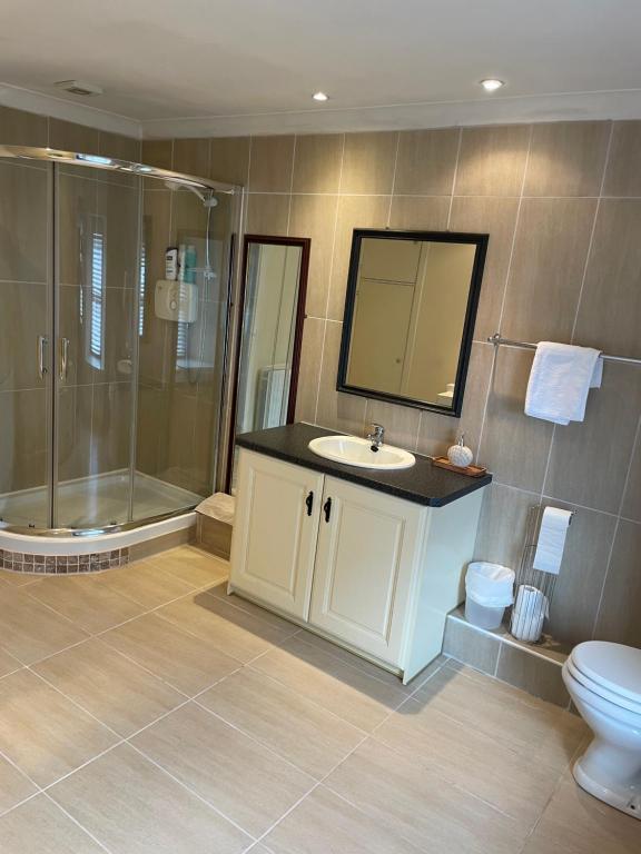 a bathroom with a sink and a shower and a toilet at Large Townhouse with Gardens in Kingscourt