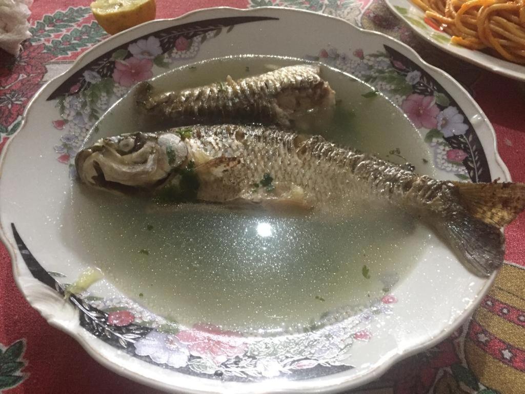 Jídlo v hostelu nebo okolí