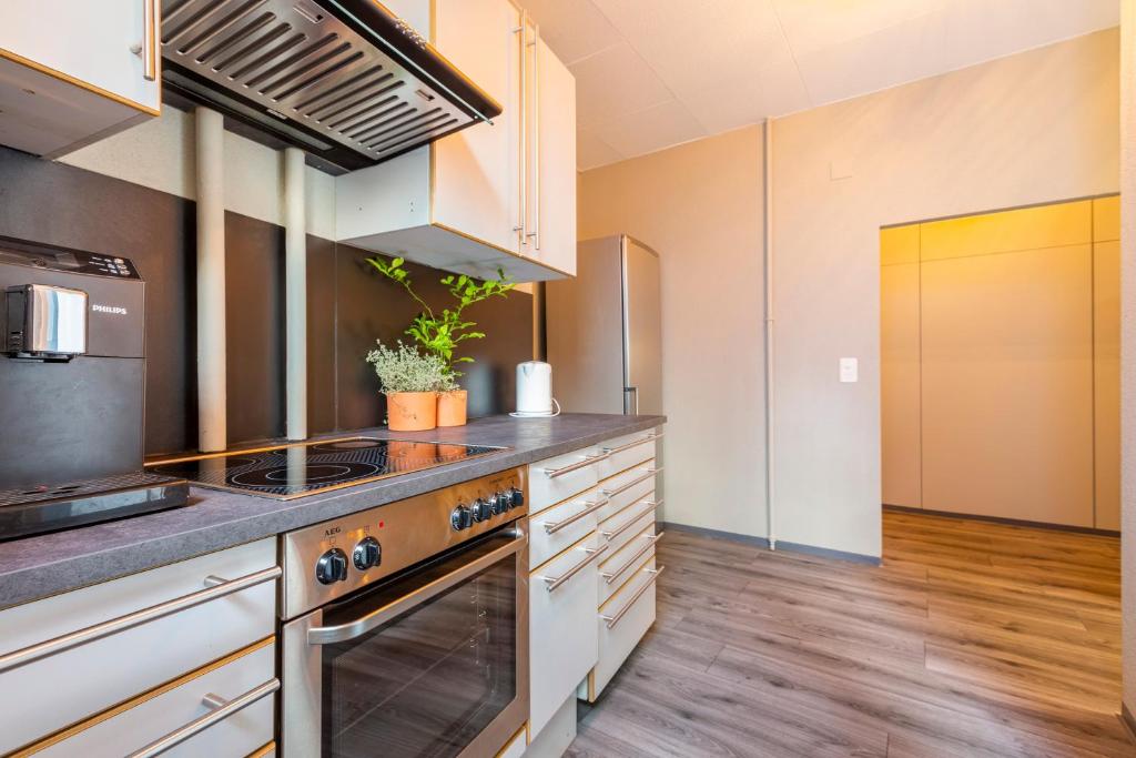 uma cozinha com armários brancos e um forno com placa de fogão em MUE Rooms & Cubes em Basileia