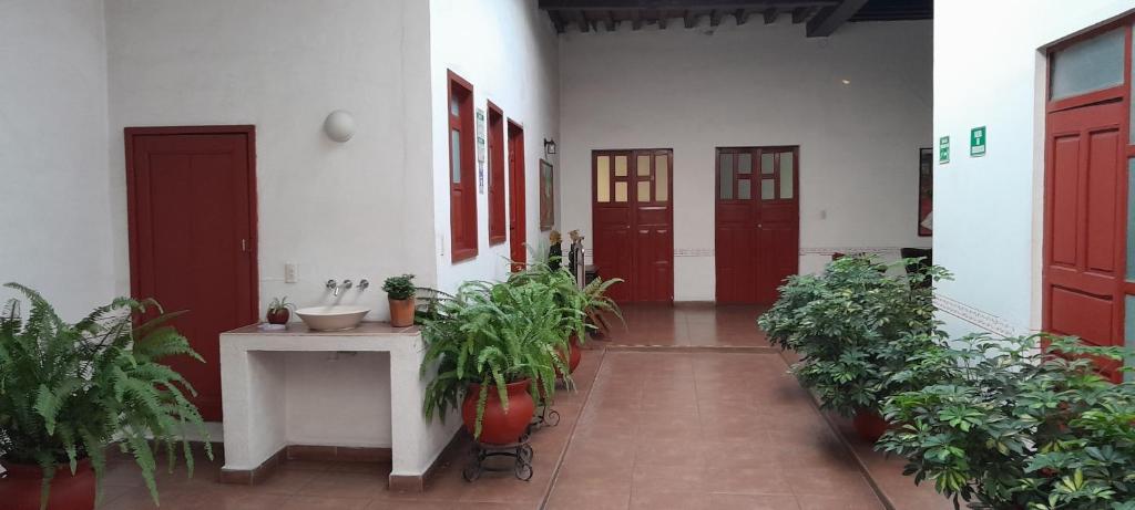 Zahrada ubytování Posada de San Agustin