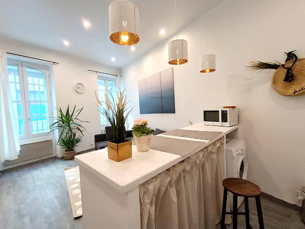 uma cozinha com um balcão e uma ilha de cozinha num quarto em Appartement Gare Saint Charles Marseille em Marselha