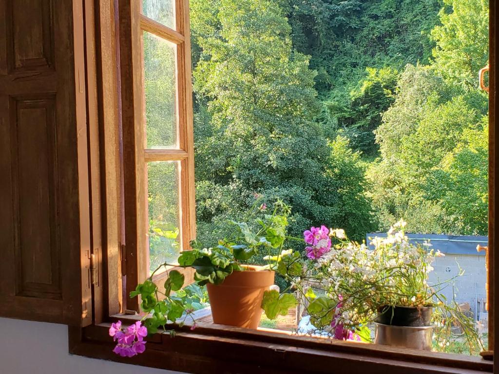 uma janela com três vasos de plantas no parapeito da janela em Casa de los Valles en RioNansa em Puentenansa