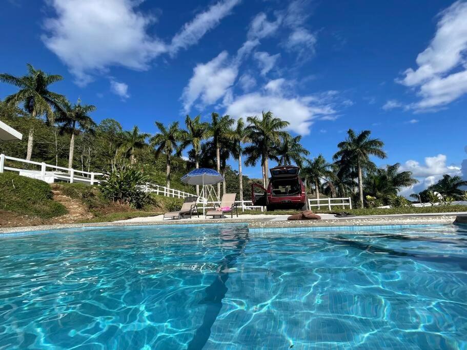 een groot zwembad met palmbomen op de achtergrond bij Casa Felipe, lake view-cottage in Nuevo Arenal