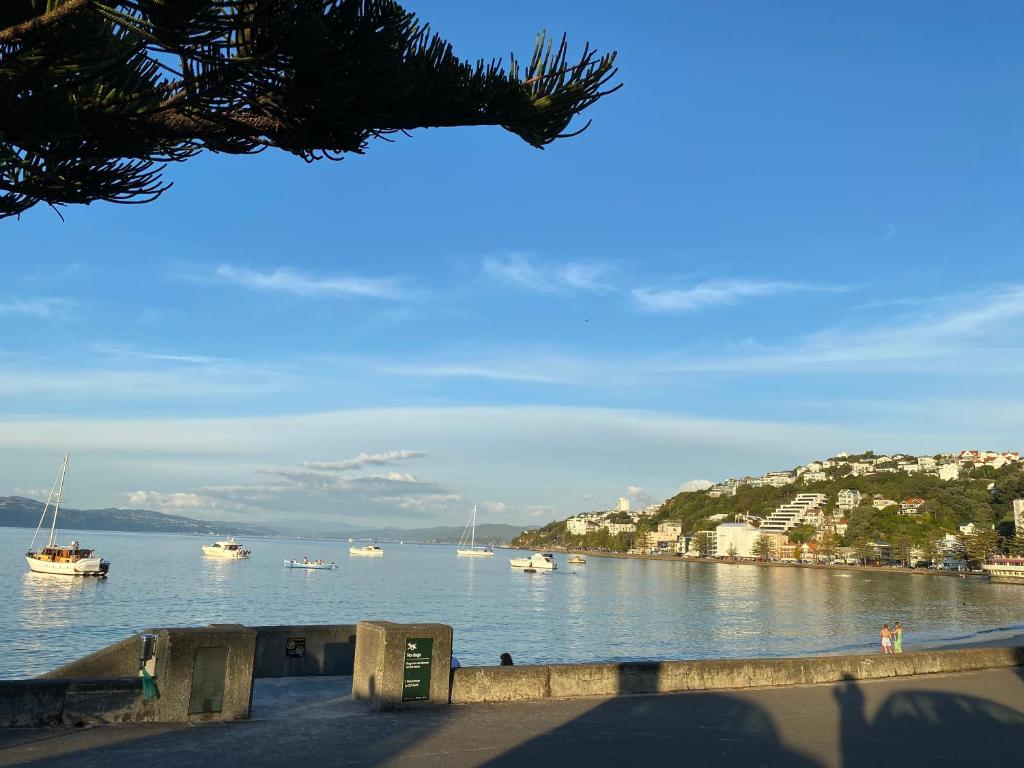 a view of a body of water with boats in it at Beach front House in Wellington