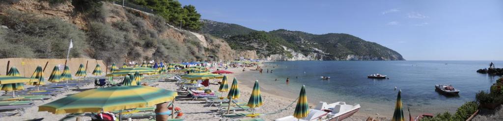 - une plage avec un bouquet de parasols et de personnes dans l'établissement Pensione San Michele, à Mattinata