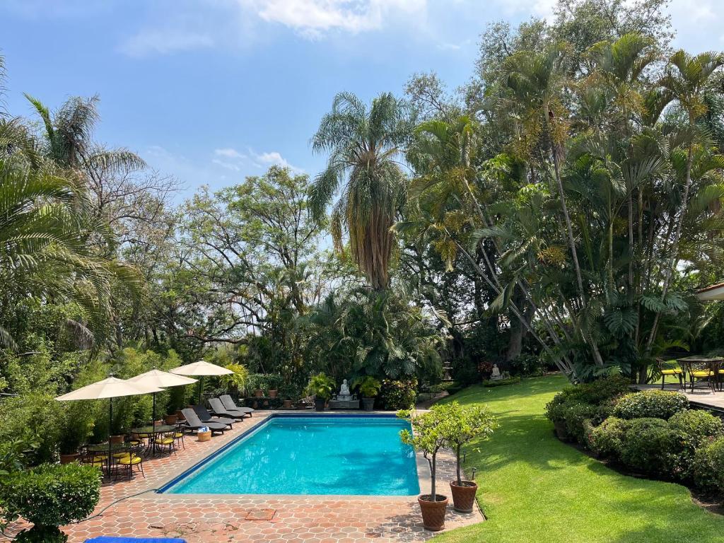 a swimming pool in a yard with chairs and trees at Casa Gabriela para gozar con los tuyos-piscina con calefacción in Cuernavaca