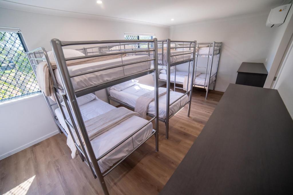 two bunk beds in a room with a table at Mackay Adventure Lodge in Mackay