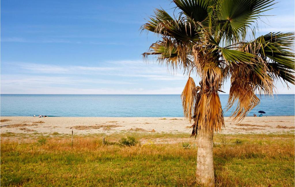 a palm tree sitting on top of a beach at Nice Apartment In Marina Di Strongoli With 2 Bedrooms And Wifi in Marina di Strongoli
