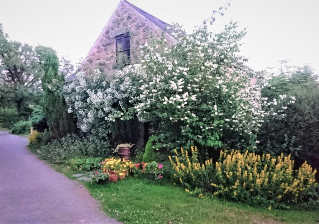 a house with a flowering tree and flowers in the yard at Coach House in Llanfachreth