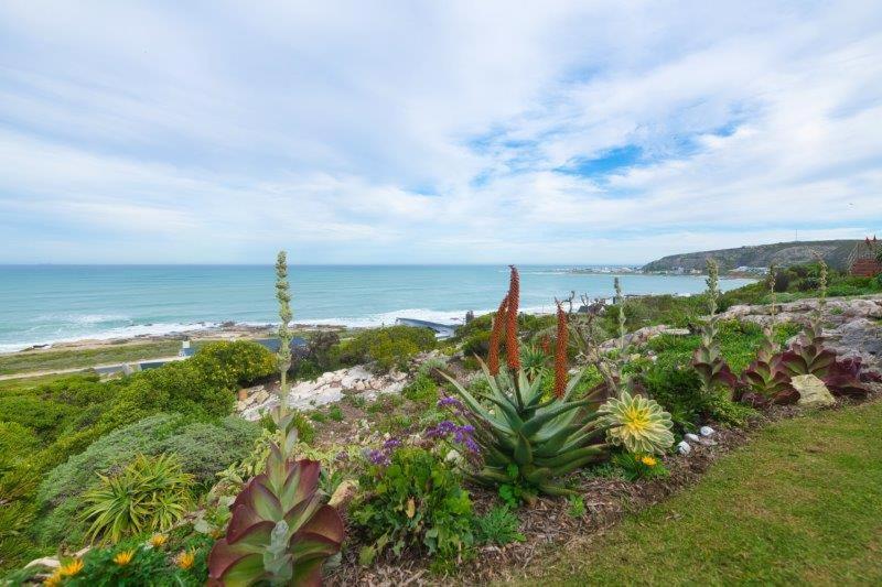 un jardín con flores en una colina junto al océano en Oceanview House, en Struisbaai