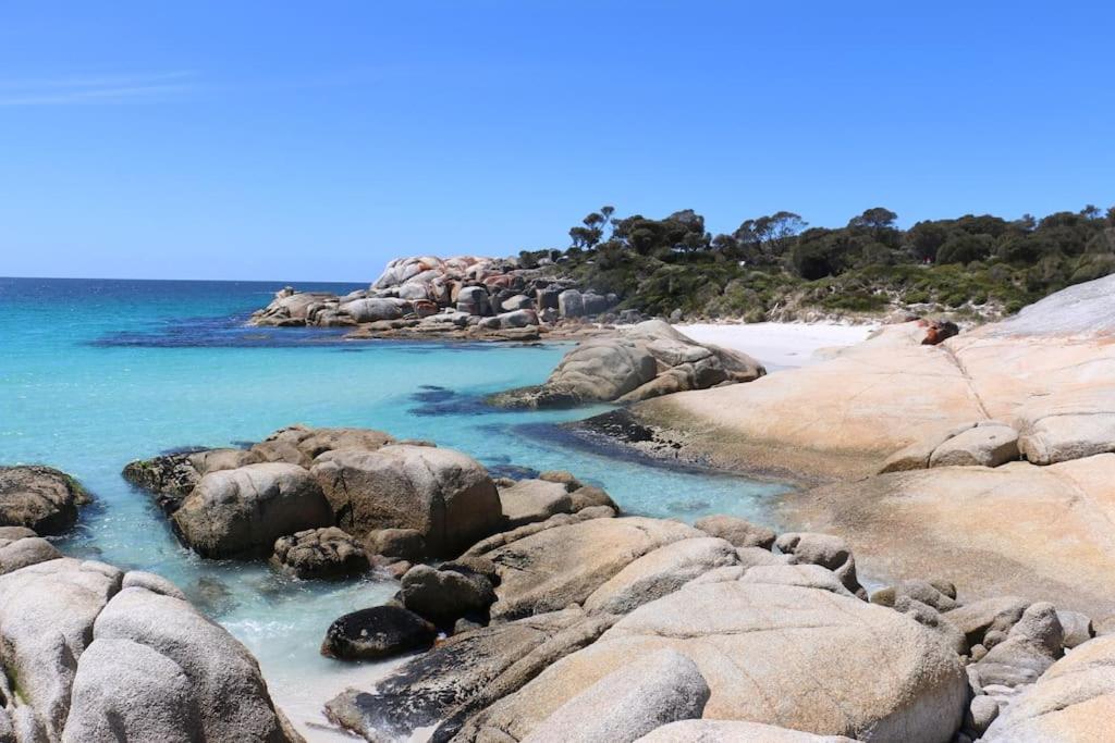 a beach with rocks and the blue water at Bay of Fires - Beachfront - Sloop Cottage in Binalong Bay