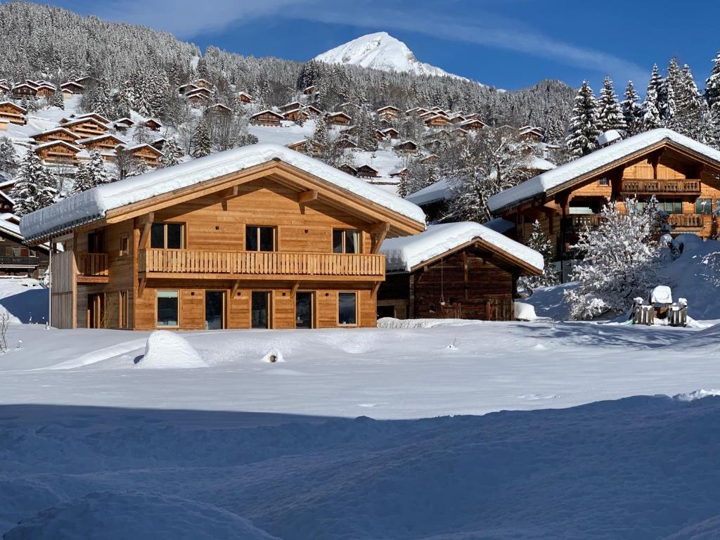 a log cabin in the snow with snow at Chalet Vicky et Nino in Les Diablerets