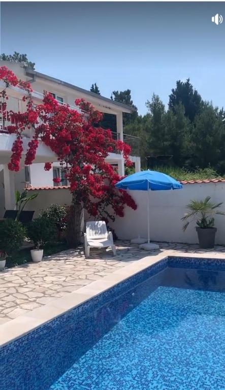 a house with a swimming pool and a blue umbrella at Apartment Tijana in Bar