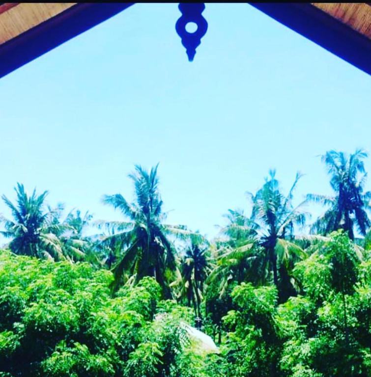 Gili T Sugar Shack - 16