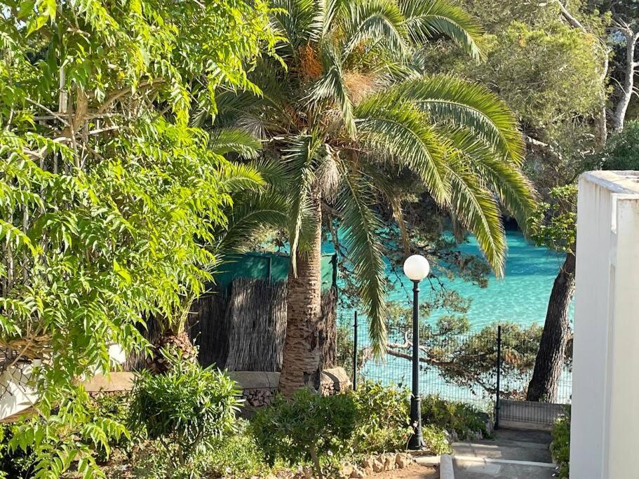 eine Palme neben einem Wasserkörper in der Unterkunft Playa d'Or 16 / Cala D'Or / Mallorca in Cala d´Or