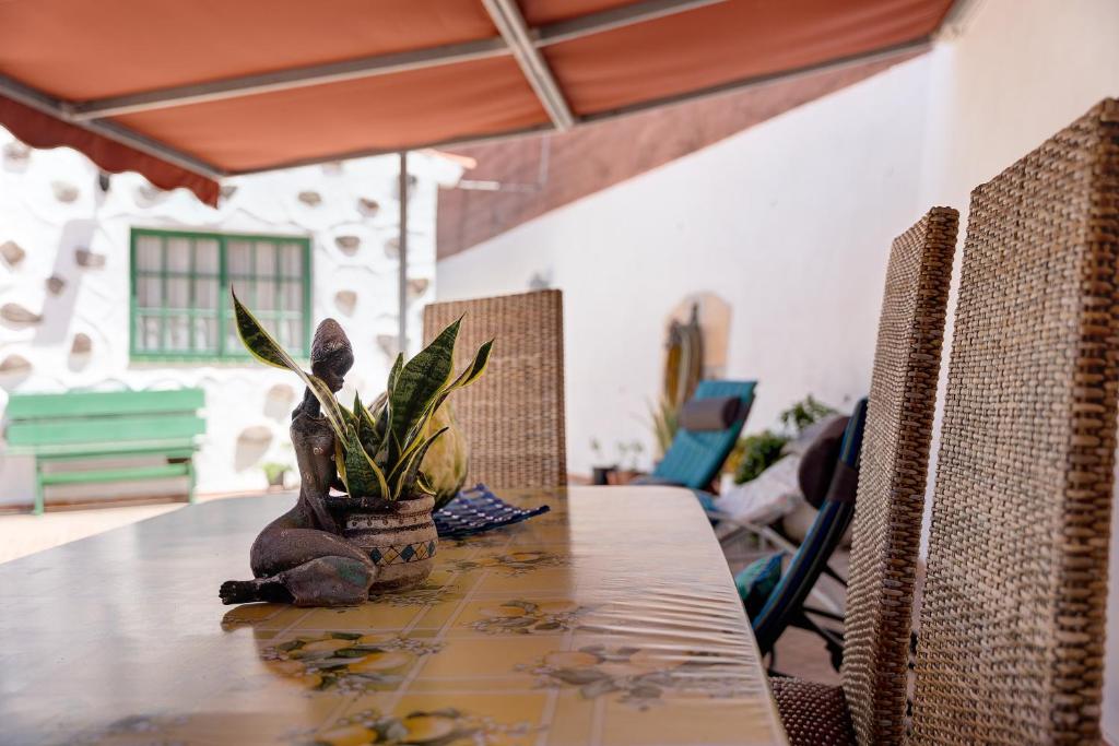 a table with a potted plant on top of it at Rosa del Negro in Alojera
