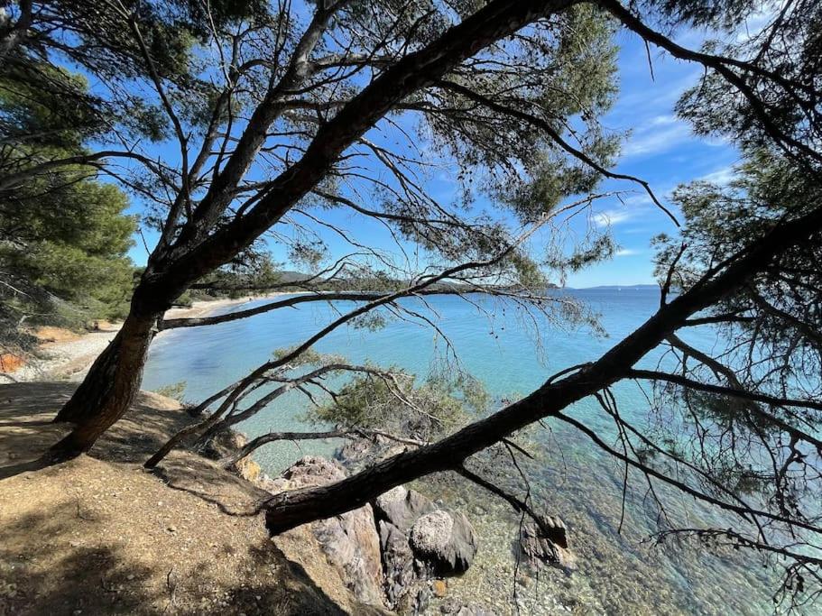- une vue sur l'océan depuis une colline arborée dans l'établissement Appartement plage piscine et tennis inclus, à La Londe-les-Maures